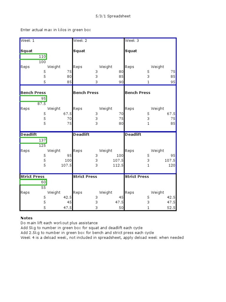 5/3/1 Workout Plan Spreadsheet | PDF