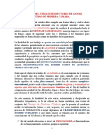 0.1. RESUMEN DEL TEMA INTRODUCTORIO DE GNOSIS PRIMERA CÁMARA