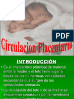 Circulación Placentaria