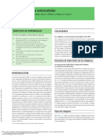 Bioquímica Médica (4a. Ed.) - (29 Matriz Extracelular)