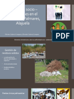 Conflictos Socio - Ambientales en El Cantón de Palmares, Alajuela