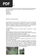 enfermedades por hongos