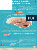 Infografia Cerebro