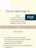ciclomenstrual-130318145521-phpapp01