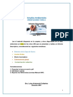 Orientaciones Tarea 2_ Informe Descriptivo