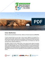 Islas Ballestas RNSIIPG y Reserva Nacional de Paracas