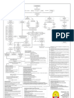 Mapa Conceptual Holopraxis2