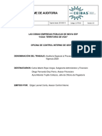 TALLER Informe Auditoria Financiera Especial 2020
