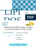 Lípidos