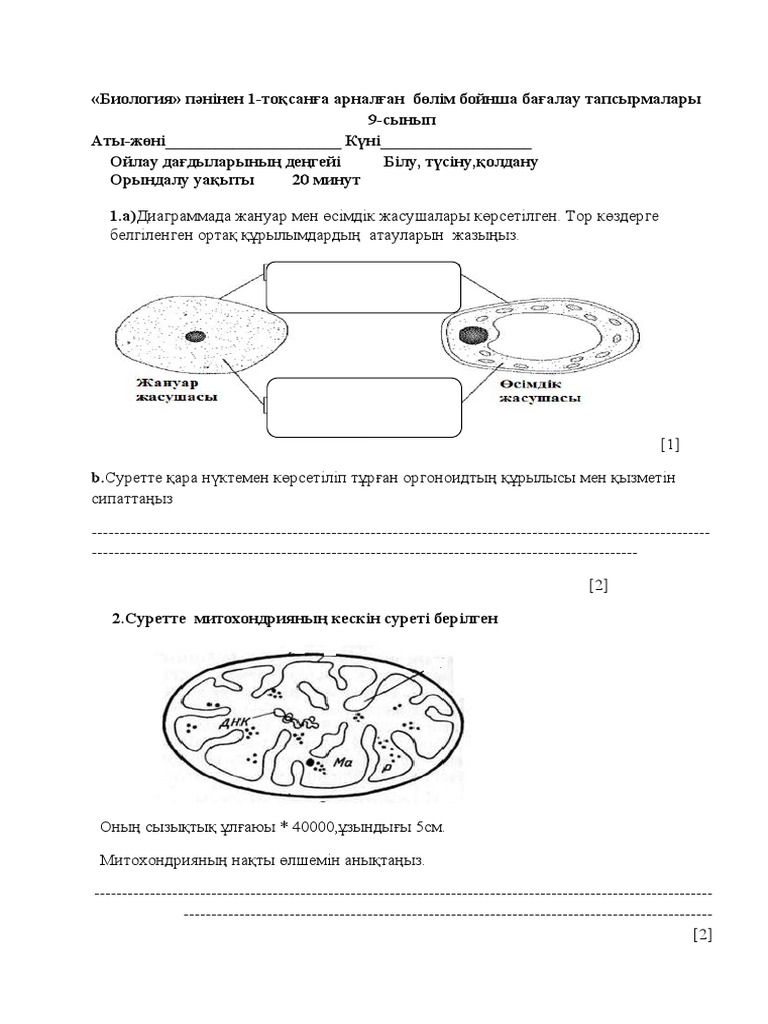Үлкен бөкселер (бейне)