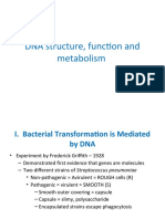 Lec 3. DNA Structure, Function and Metabolism