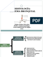 02.-Histología Sistema Bronquial