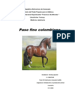 Paso Fino Colombiano