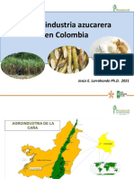 Hidratos de Carbono AZUCARES