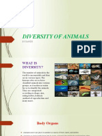 Diversity of Animals