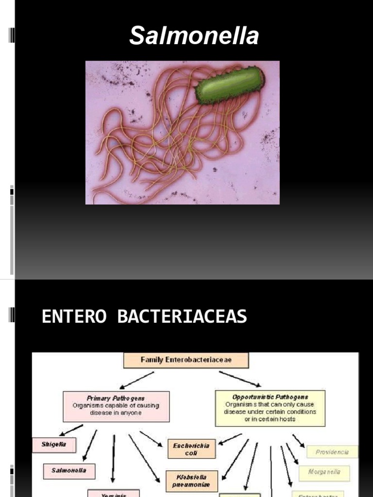 Salmonella | PDF | Salmonela | Biología