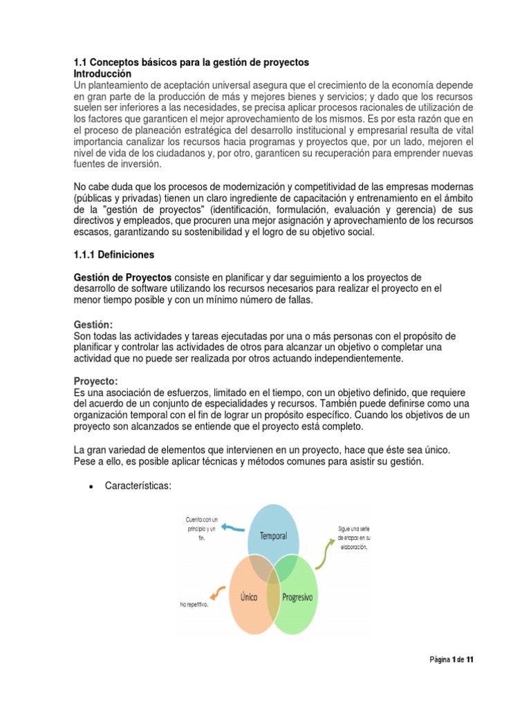 Conceptos Básicos de Gestión de Proyectos | PDF | Software | Ingeniería ...