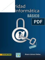 Seguridad Informatica Basico