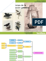 PDF Tema 15 Mutaciones