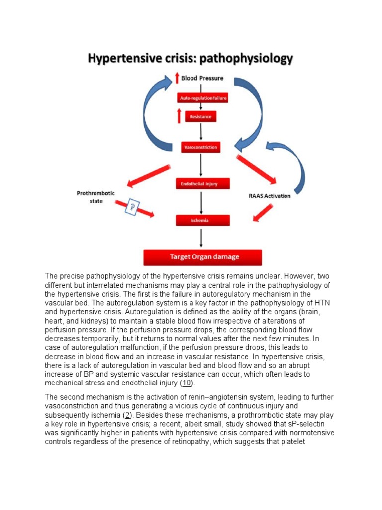 Pathophysiology of Hypertensive Crisis | PDF | Hypertension | Blood ...