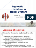 Disorders of The Renal System - SASAN FINAL - OTL S