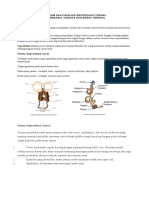 Anatomi Dan Fisiologi Reproduksi Ternak