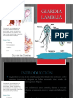 PDF Giardia Lamblia Power Point DL