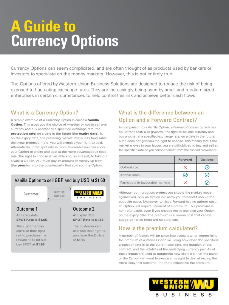 Currency Options A Guide To Pdf Option Finance Investing
