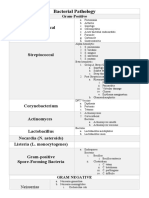 Bacterial Pathology