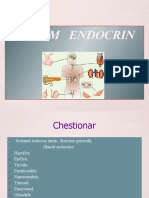 sistem_endocrin