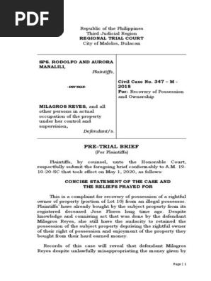 Pretrial Brief