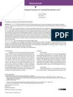 Clinical and pathological features of myeloid leukemia cutis