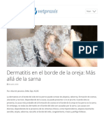 Dermatitis en el borde de la oreja en perros