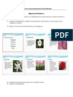 Ejercicios PowerPoint tipos flores