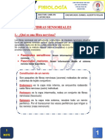 F.2.16 Fibras Sensoriales 08-03-19