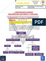F.2.14. Neurofisiología Organización Anatómica y Funcional 06-03-19