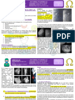 09-C-21-03 - Patologia Quirúrgica de La Mama