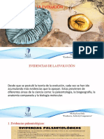 Diapositivas Biología 9°, Evidencias de La Evolución.