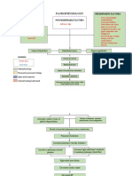 Pathophysiology of Pulmonary Embolism (Loria.J)