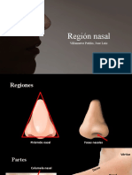 Región Nasal EXPO