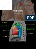 Mediastino Superior EXPO