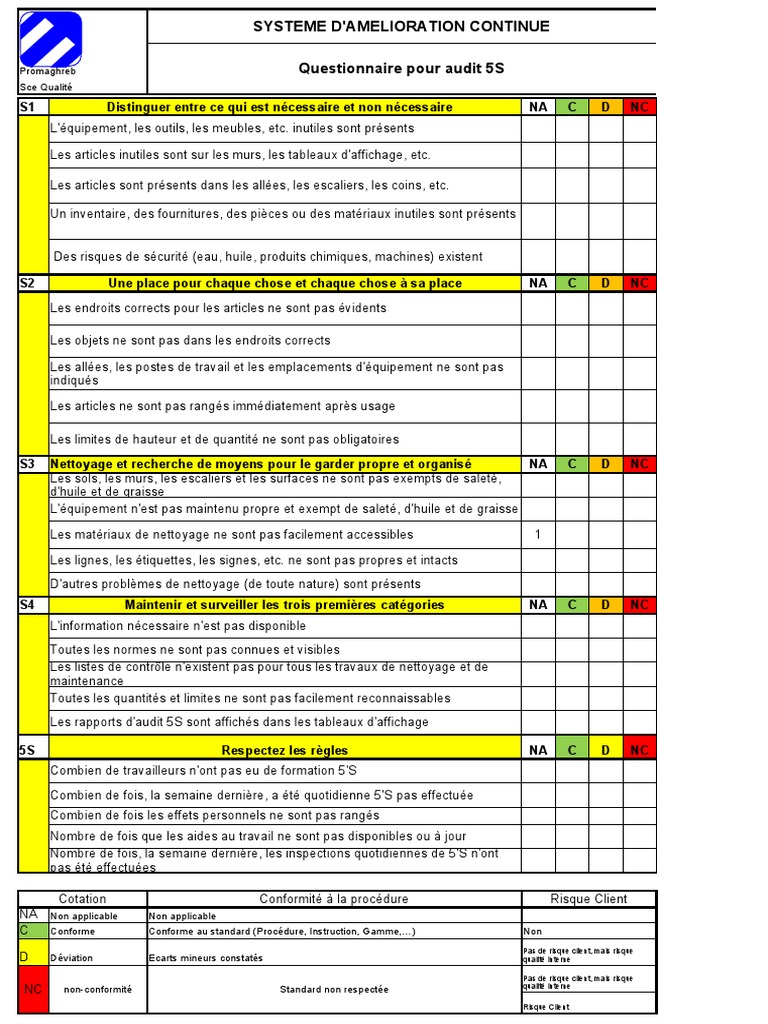 audit-5s-questionnaire-et-checklist-pdf-audit-business