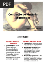 Aula 03 - Contração do Músculo Esquelético