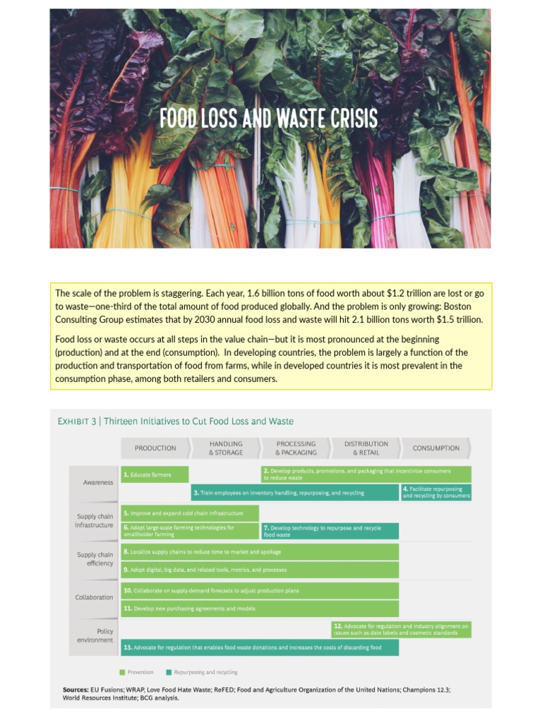 Food Loss and Waste Crisis | PDF