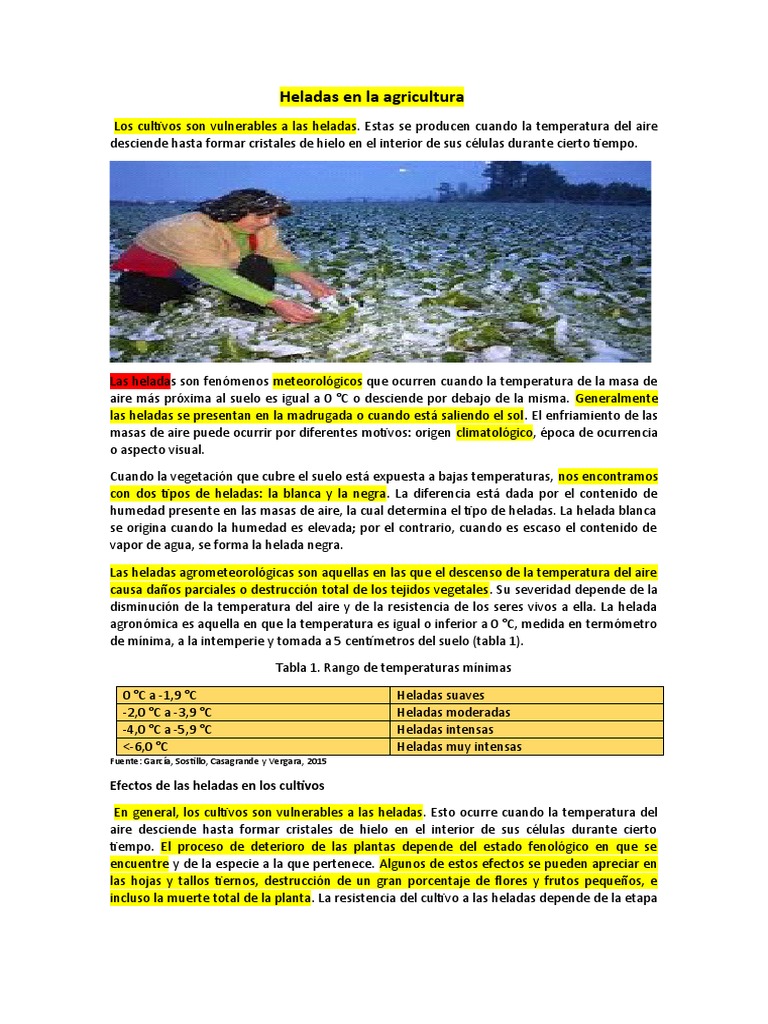 Impacto de las heladas en cultivos agrícolas | PDF | Geografía Física