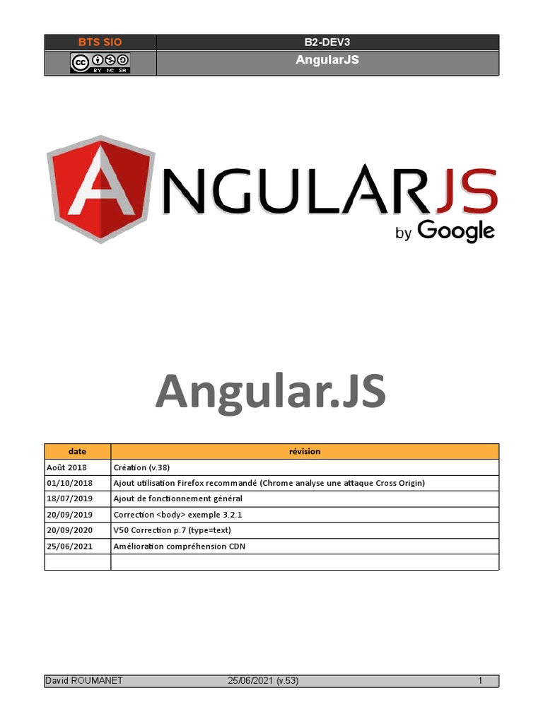 Guide d'Utilisation d'AngularJS | PDF | JavaScript | Internet