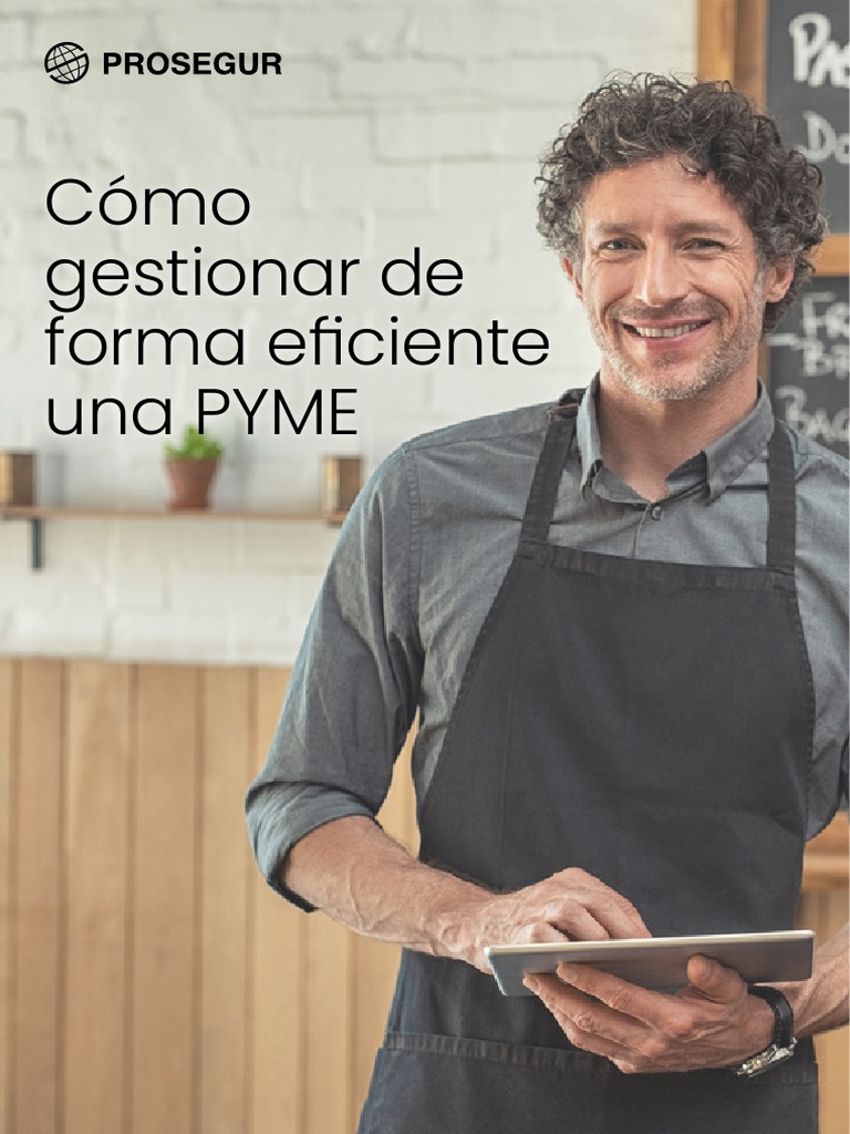 PRS - Cómo Gestionar de Forma Eficiente Una PYME - Ebook | PDF | Lean ...