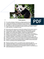 Pandas Gigantes