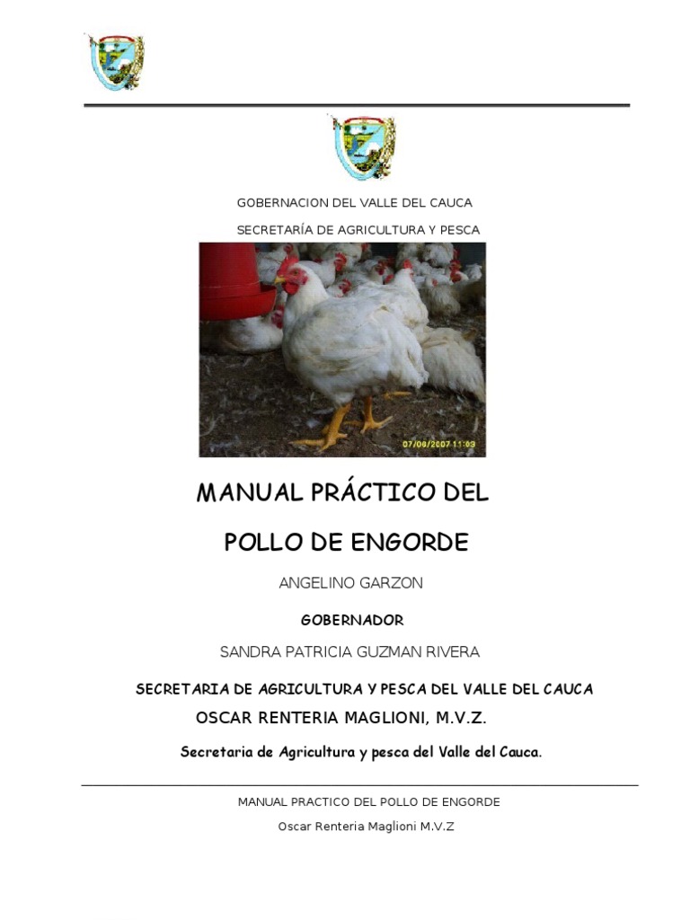 Manual Del Pollo | PDF | Business