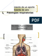 Patologias Respiratorias